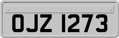 OJZ1273