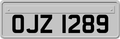 OJZ1289