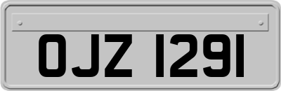 OJZ1291