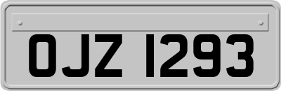 OJZ1293