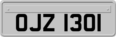 OJZ1301