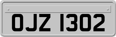 OJZ1302