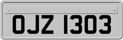 OJZ1303