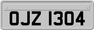 OJZ1304