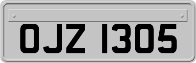 OJZ1305