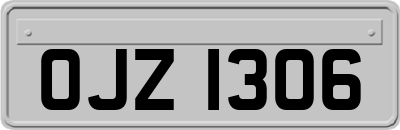 OJZ1306