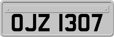 OJZ1307