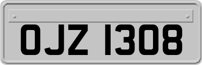 OJZ1308