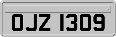 OJZ1309