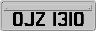 OJZ1310