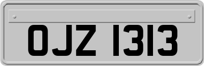 OJZ1313
