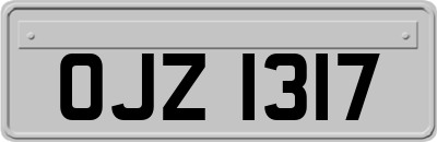 OJZ1317