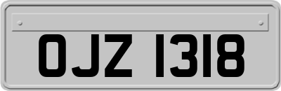 OJZ1318