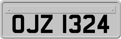 OJZ1324