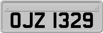 OJZ1329