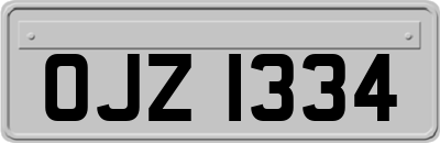 OJZ1334