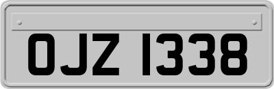 OJZ1338