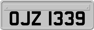 OJZ1339