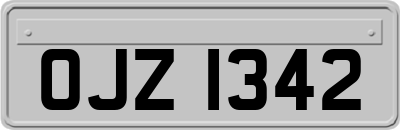 OJZ1342