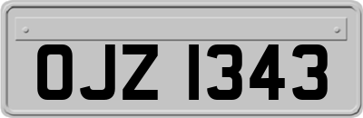 OJZ1343
