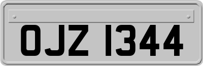 OJZ1344