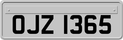 OJZ1365
