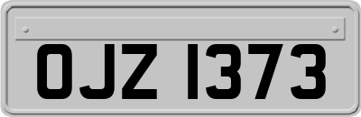 OJZ1373