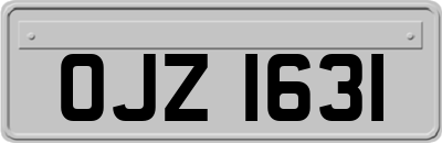 OJZ1631