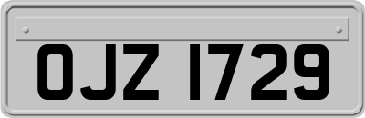 OJZ1729