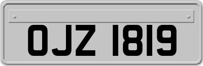 OJZ1819