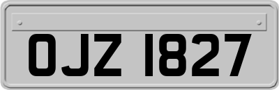 OJZ1827