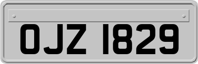 OJZ1829