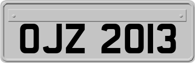 OJZ2013