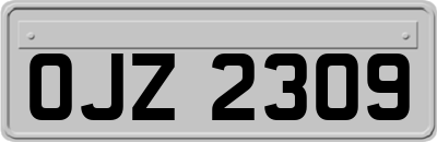OJZ2309