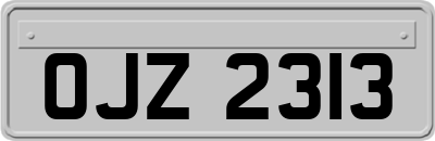 OJZ2313