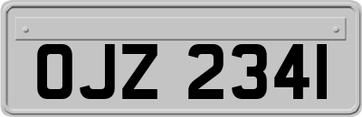 OJZ2341