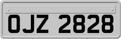 OJZ2828