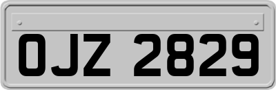 OJZ2829