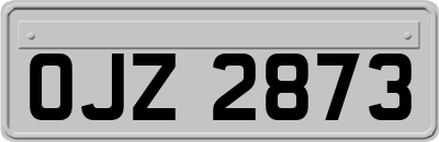 OJZ2873