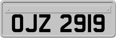 OJZ2919