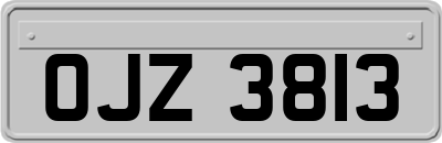 OJZ3813