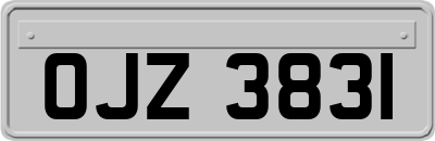 OJZ3831