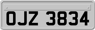 OJZ3834