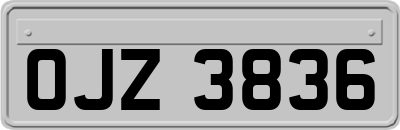 OJZ3836
