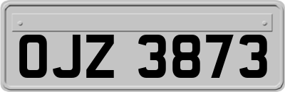 OJZ3873