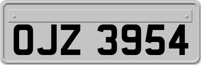 OJZ3954