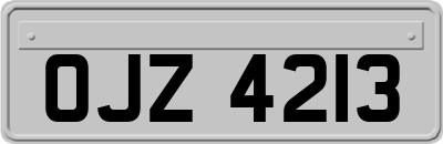 OJZ4213