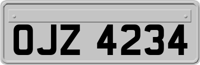 OJZ4234