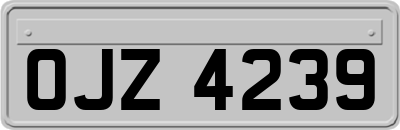 OJZ4239