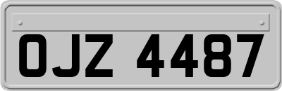 OJZ4487